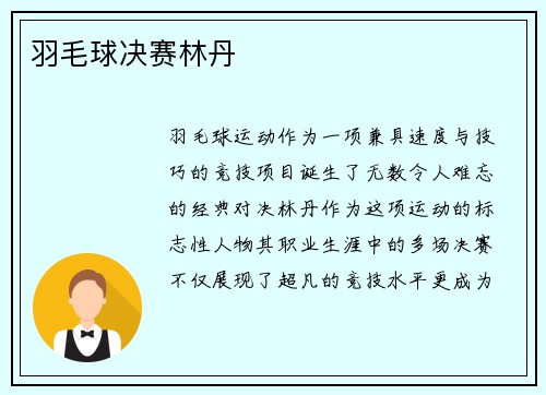 羽毛球决赛林丹