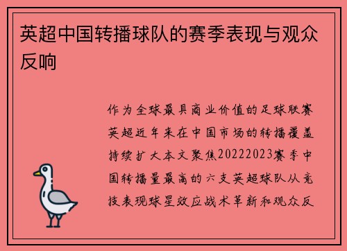 英超中国转播球队的赛季表现与观众反响